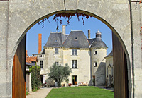 Location pieds de vigne dans le Loire au Château de la Bonnelière, Chinon, cadeau de mariage original pour des amateurs de vin.