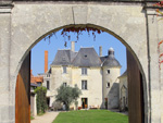 Coffret cadeau amateur vin. Location pieds de vigne Loire