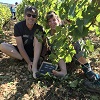 Témoignage positif sur une expérience de vigneron bio à Santenay en Bourgogne