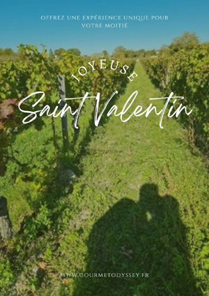Parrainez des vignes pour votre cadeau Saint Valentin 