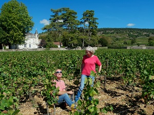 Cadeau adopte une vigne bio en Bourgogne
